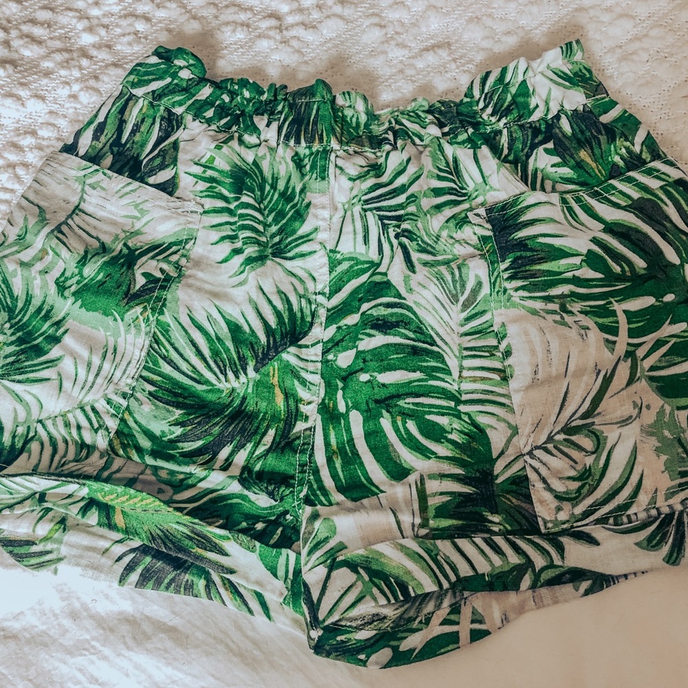 Tahari Shorts